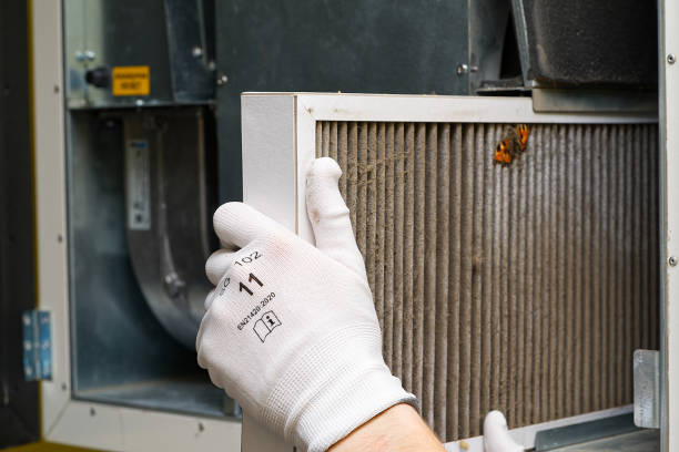 Best Air Filter Replacement Services in Bernie, MO