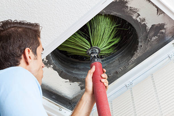 Best Ductwork Odor Removal in Bernie, MO